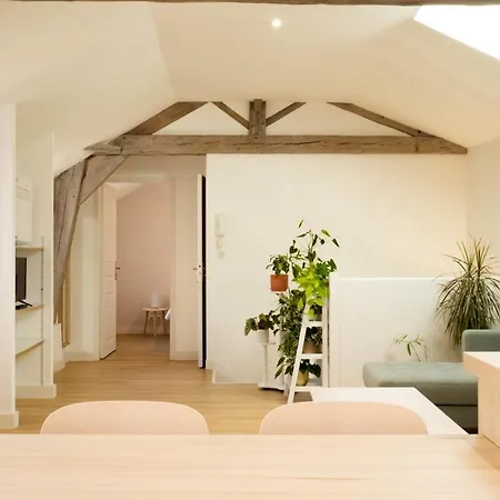 Le Cocon Botanique - Cosy T2 En Centre-ville ! *
